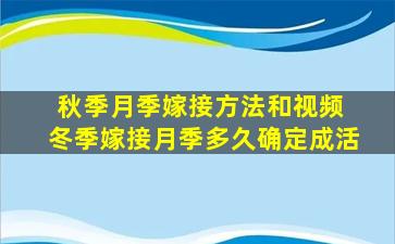 秋季月季嫁接方法和视频 冬季嫁接月季多久确定成活